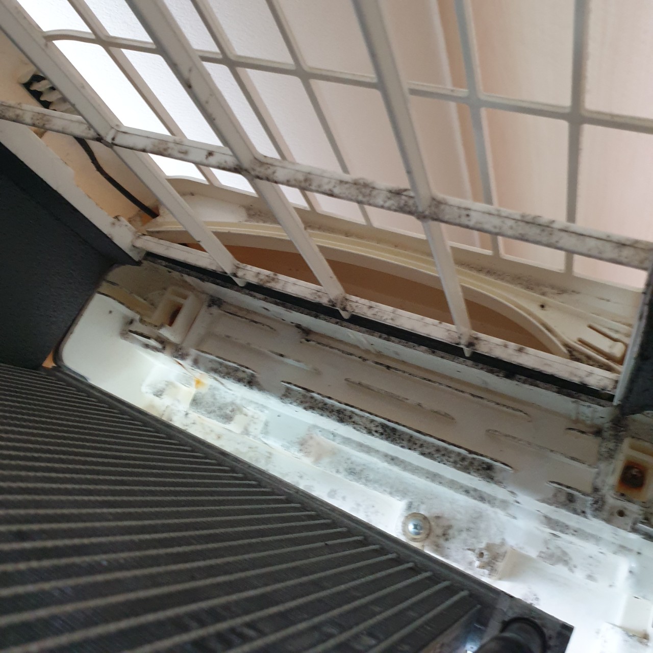 더건강한홈케어 PC 이미지 955660